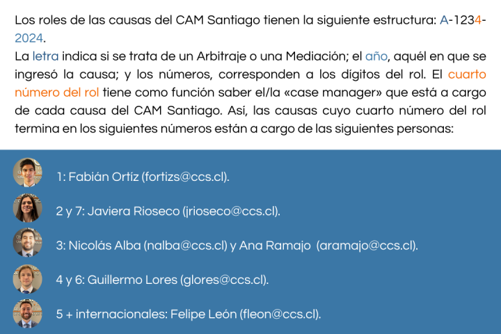 Distribución de causas del CAM Santiago